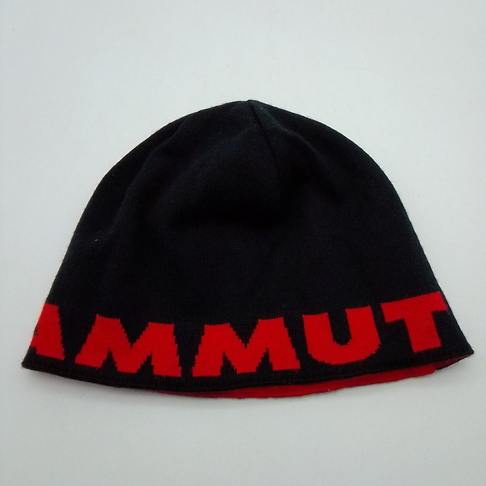 マムート(MAMMUT),MAMMUT, ニット帽 ロゴ ビーニー/Logo Beanie,1191