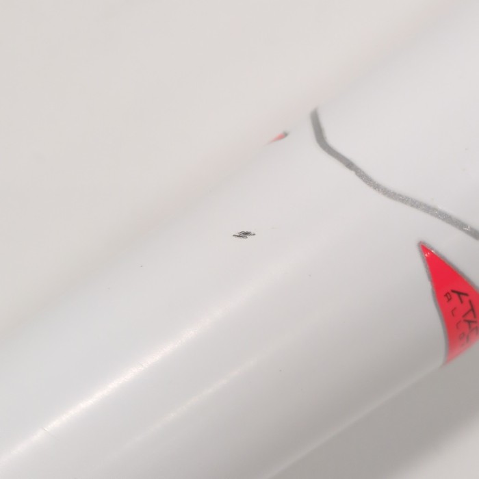 EASTON 軟式用ゴーストエックスレボリューション 84cm イーストン(EASTON),EASTON, 軟式用 ゴースト X