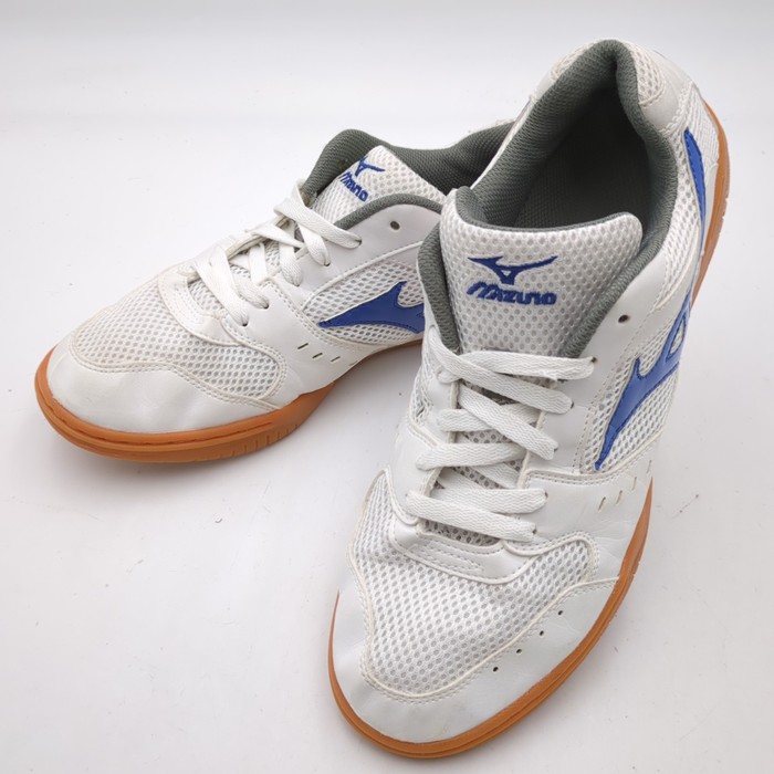 ミズノ(MIZUNO),MIZUNO, インドアシューズ 体育館シューズ,29KV12027