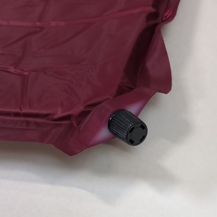 コールマン(Coleman),Coleman, キャンパーインフレーターマットW